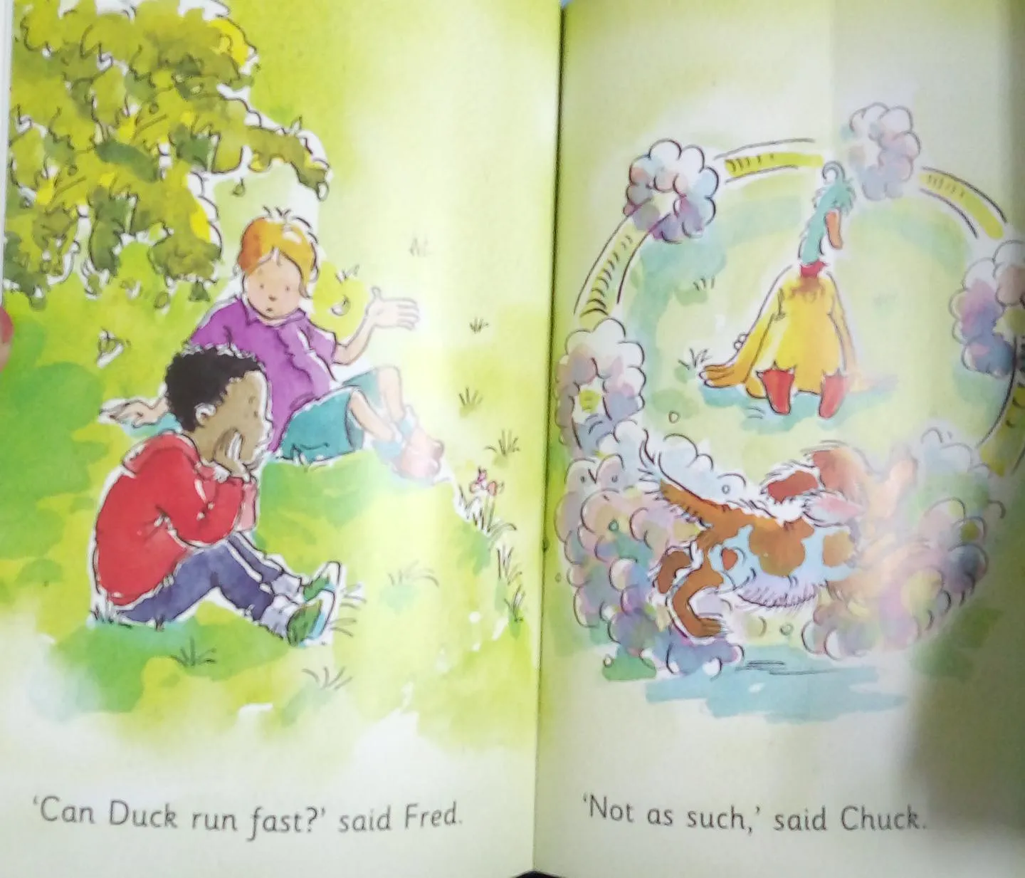 I Love Reading Phonics - Chuck And Duck- Level 2 - Book B