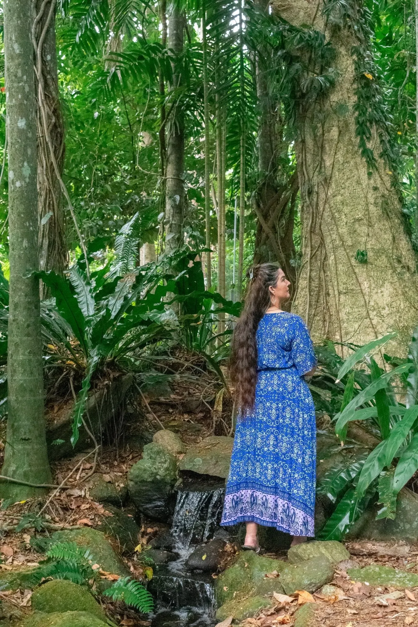Serenity Maxi Dress -  Cobalt Petal