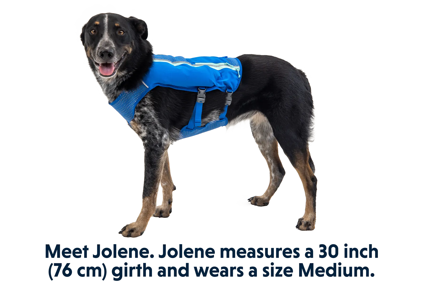 Trail Runner™ Dog Running Vest